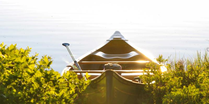 IWLA18:以捐赠基金模式创新慈善公益,点亮可持续公益项目的未来