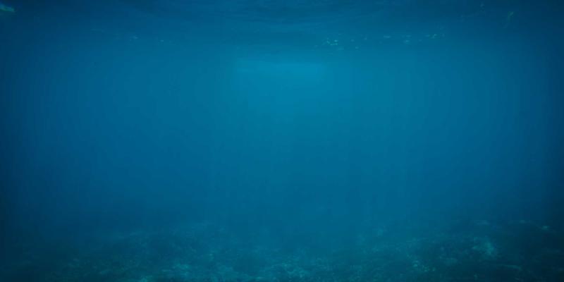 IWLA28：以创新捐赠基金模式，重塑慈善公益项目的可持续未来