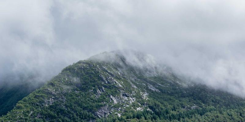 IWLA29：以专业捐赠服务连接慈善捐款与社会救助的桥梁