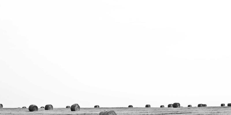 IWLA7：以捐赠服务为核心的社会救助新模式解析