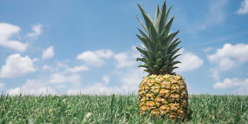 IWLA95：科技向善，点亮社会救助新航程