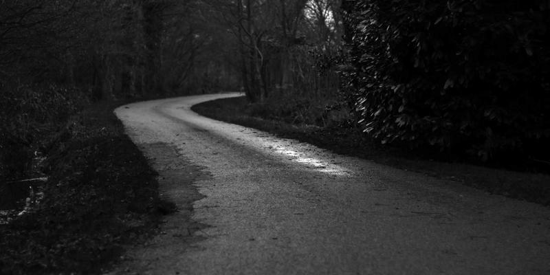 IWLA9捐赠基金与服务:构建可持续公益生态的创新实践