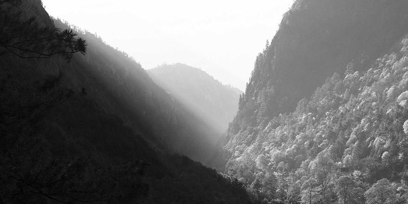 IWLA仓储分拣一体化方案：如何高效处理捐赠衣物与纺织品，赋能慈善捐款与社会救助