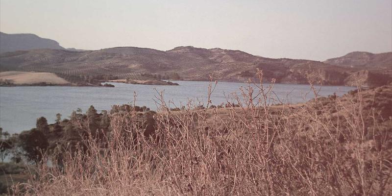 IWLA伦理准则：如何通过专业捐赠服务提升慈善捐款的透明度与公信力