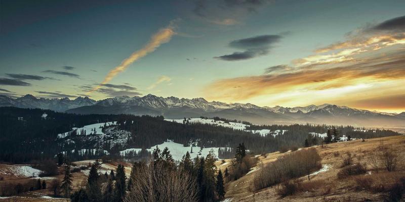 IWLA公益项目如何通过政企社协同，构建高效应急物流体系