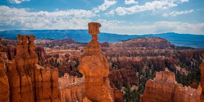 IWLA捐赠基金与服务：构建可持续慈善生态的三大核心优势