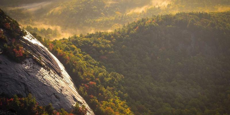 人道主义物流中的生命线：IWLA成员如何通过冷链管理保障药品与食品运输安全