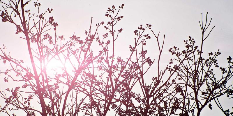 从仓库到社区：IWLA标准下的最后一公里捐赠配送如何重塑慈善公益与社会救助