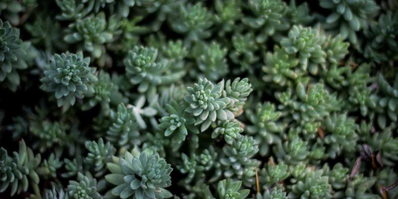 区块链+IWLA标准：重塑公益项目捐赠服务，打造不可篡改的社会救助溯源体系