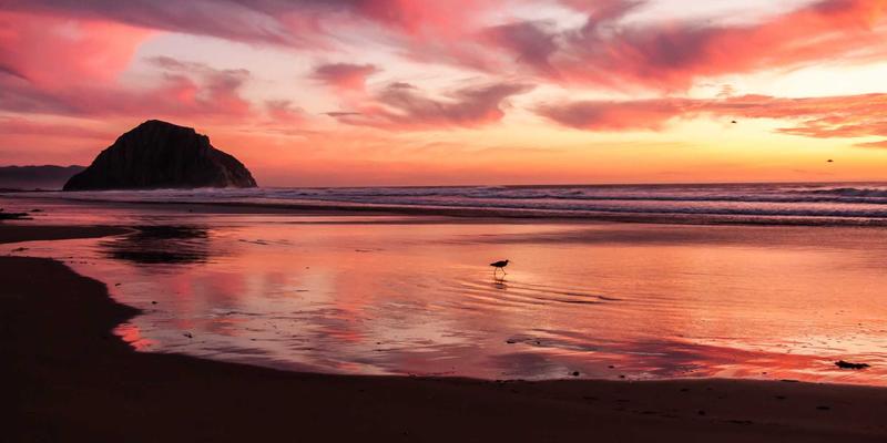 慈善捐款与公益项目的守护者：IWLA专业仓储如何为高价值艺术品与文化遗产捐赠保驾护航