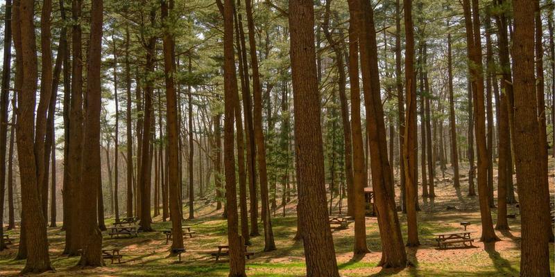 慈善捐赠新挑战：IWLA指南下化学品与特殊物资的安全仓储管理规范