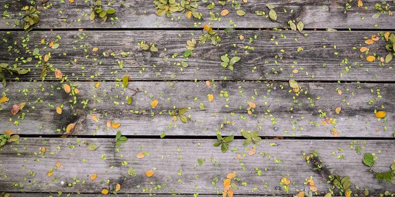 捐赠者信任的基石：深度解读IWLA审计与认证如何保障公益仓储服务的专业可靠