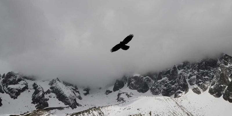 构建高效公益仓储：IWLA指导下的志愿者管理与捐赠基金优化体系